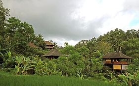 Bali Eco Stay
