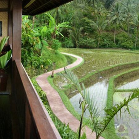 Bali Eco Stay Buitenkant foto