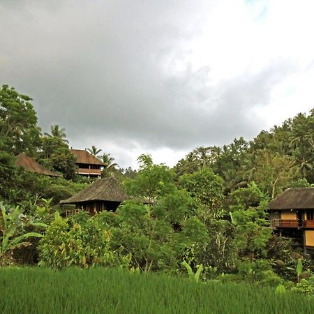 Bali Eco Stay Buitenkant foto
