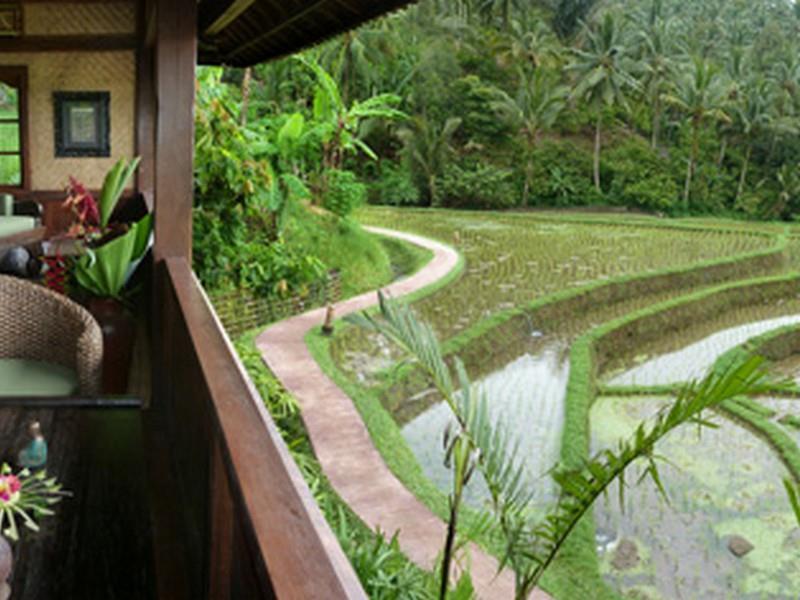 Bali Eco Stay Buitenkant foto